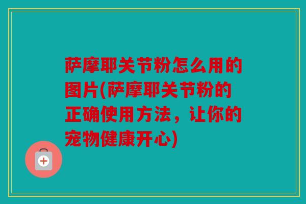 萨摩耶关节粉怎么用的图片(萨摩耶关节粉的正确使用方法，让你的宠物健康开心)