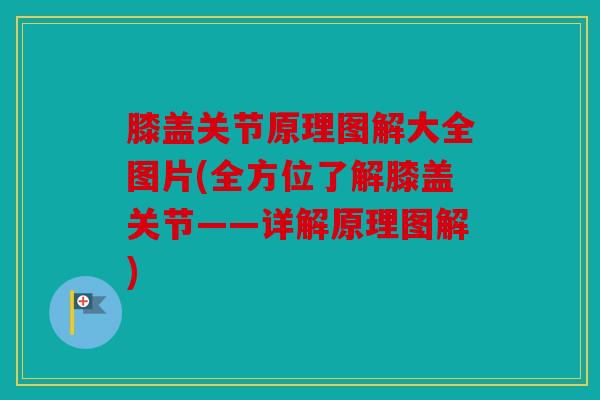 膝盖关节原理图解大全图片(全方位了解膝盖关节——详解原理图解)
