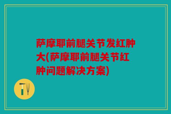 萨摩耶前腿关节发红肿大(萨摩耶前腿关节红肿问题解决方案)
