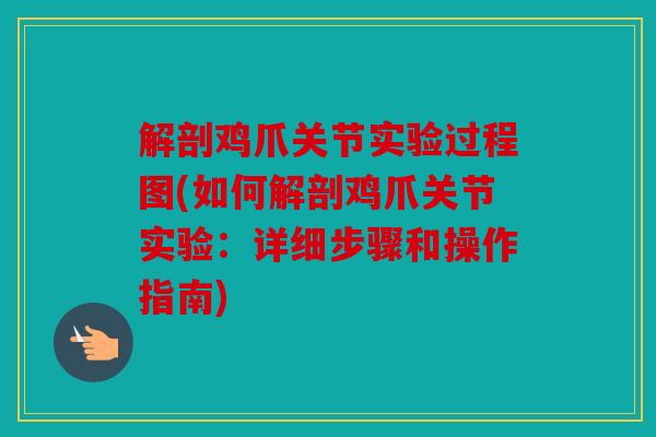 解剖鸡爪关节实验过程图(如何解剖鸡爪关节实验：详细步骤和操作指南)