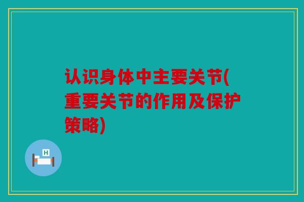 认识身体中主要关节(重要关节的作用及保护策略)