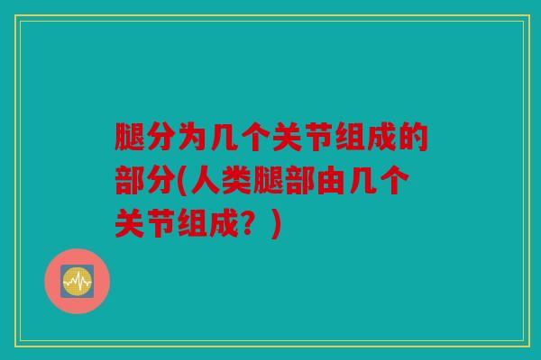 腿分为几个关节组成的部分(人类腿部由几个关节组成？)