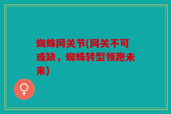 蜘蛛网关节(网关不可或缺，蜘蛛转型领跑未来)