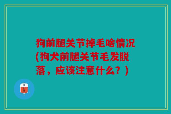 狗前腿关节掉毛啥情况(狗犬前腿关节毛发脱落，应该注意什么？)
