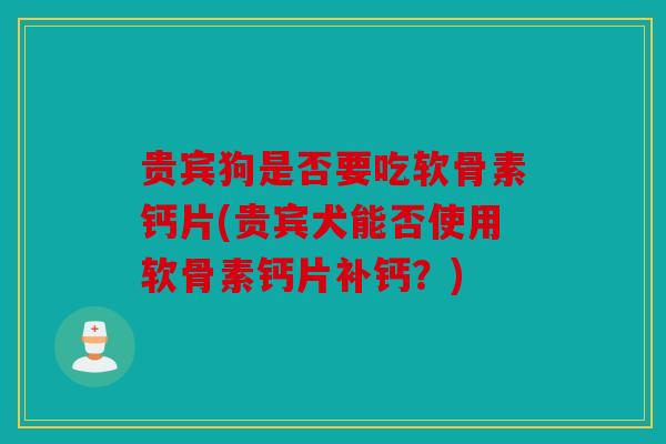 贵宾狗是否要吃软骨素钙片(贵宾犬能否使用软骨素钙片补钙?) 贵宾狗是否要吃软骨素钙片(贵宾犬能否使用软骨素钙片补钙?)