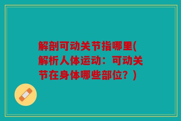 解剖可动关节指哪里(解析人体运动：可动关节在身体哪些部位？)