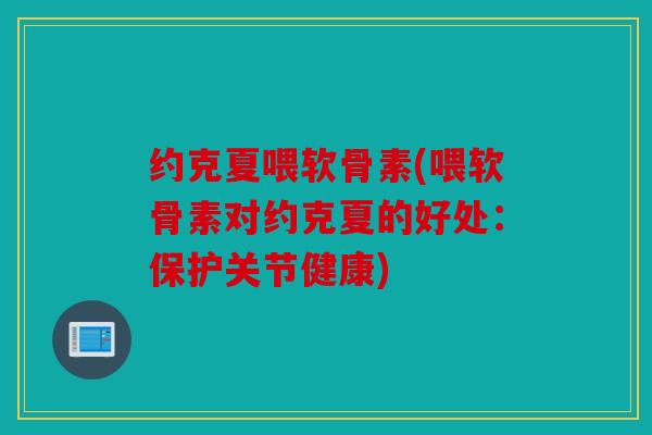 约克夏喂软骨素(喂软骨素对约克夏的好处：保护关节健康)