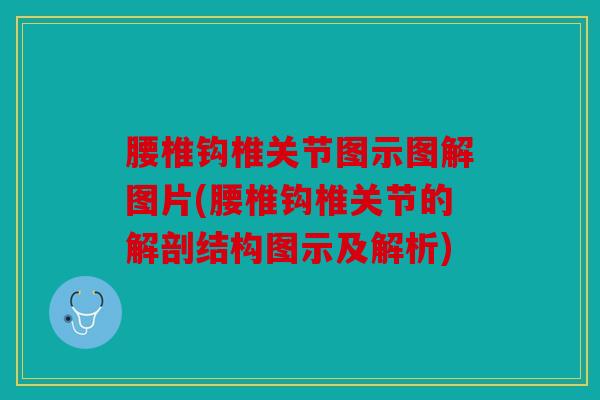腰椎钩椎关节图示图解图片(腰椎钩椎关节的解剖结构图示及解析)
