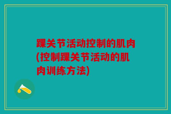 踝关节活动控制的肌肉(控制踝关节活动的肌肉训练方法)