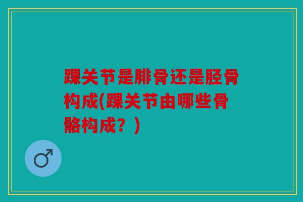 踝关节是腓骨还是胫骨构成(踝关节由哪些骨骼构成？)
