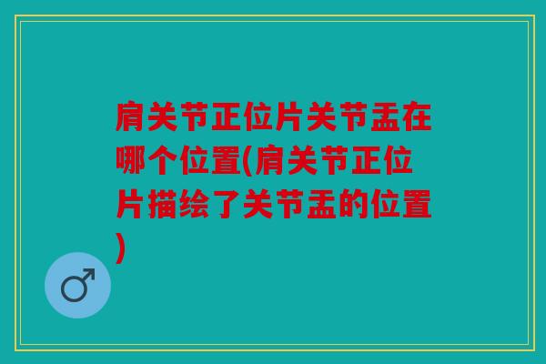 肩关节正位片关节盂在哪个位置(肩关节正位片描绘了关节盂的位置)