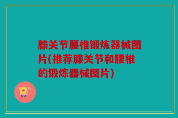 膝关节腰椎锻炼器械图片(推荐膝关节和腰椎的锻炼器械图片)