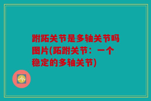 跗跖关节是多轴关节吗图片(跖跗关节：一个稳定的多轴关节)