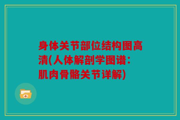 身体关节部位结构图高清(人体解剖学图谱：肌肉骨骼关节详解)