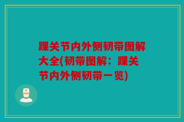 踝关节内外侧韧带图解大全(韧带图解：踝关节内外侧韧带一览)