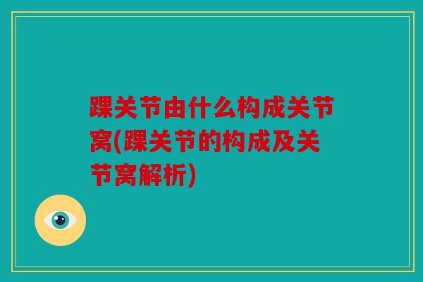 踝关节由什么构成关节窝(踝关节的构成及关节窝解析)