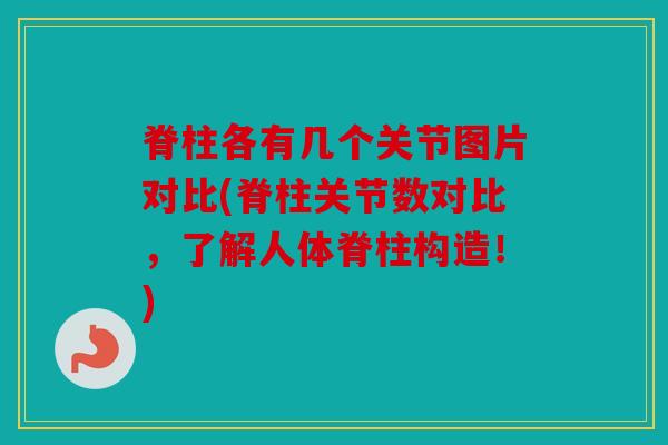 脊柱各有几个关节图片对比(脊柱关节数对比，了解人体脊柱构造！)