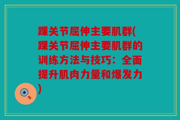 踝关节屈伸主要肌群(踝关节屈伸主要肌群的训练方法与技巧：全面提升肌肉力量和爆发力)