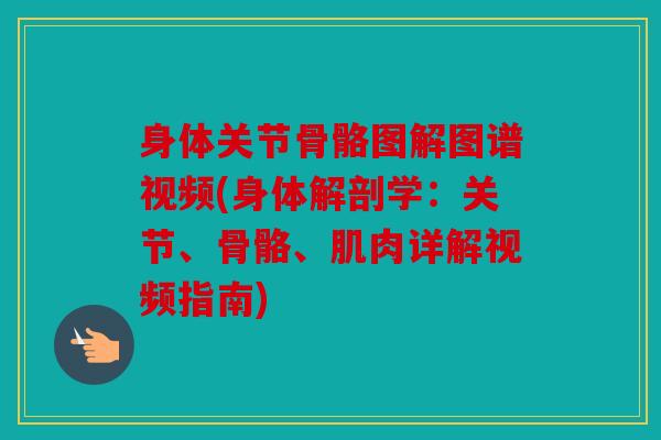 身体关节骨骼图解图谱视频(身体解剖学：关节、骨骼、肌肉详解视频指南)