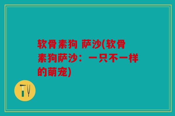 软骨素狗 萨沙(软骨素狗萨沙：一只不一样的萌宠)