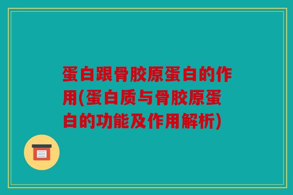 蛋白跟骨胶原蛋白的作用(蛋白质与骨胶原蛋白的功能及作用解析)