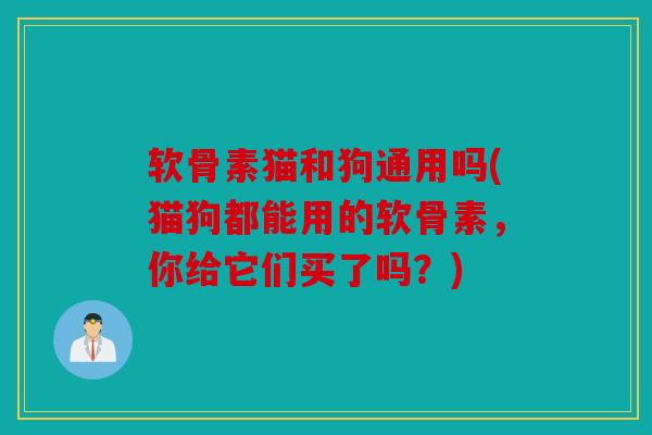 软骨素猫和狗通用吗(猫狗都能用的软骨素,你给它们买了吗?) 软骨素猫和狗通用吗(猫狗都能用的软骨素,你给它们买了吗?)