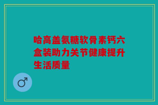 哈高盖氨糖软骨素钙六盒装助力关节健康提升生活质量